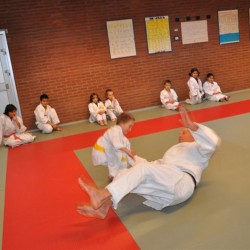 DSC 0329  Medium - Judoclub Zaventem 